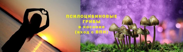 не бодяженный Алексин