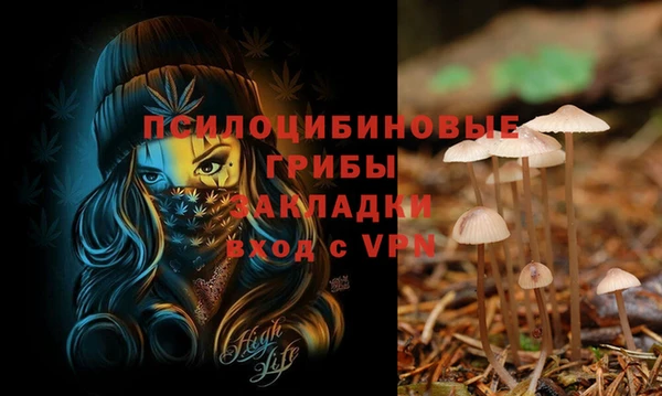 не бодяженный Алексин