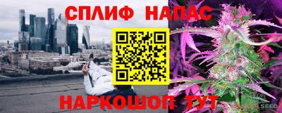 бошки Гай