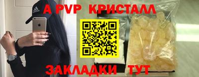 мяу мяу мука Гатчина
