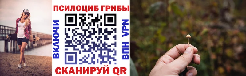Псилоцибиновые грибы мицелий  blacksprut ONION  Котовск 