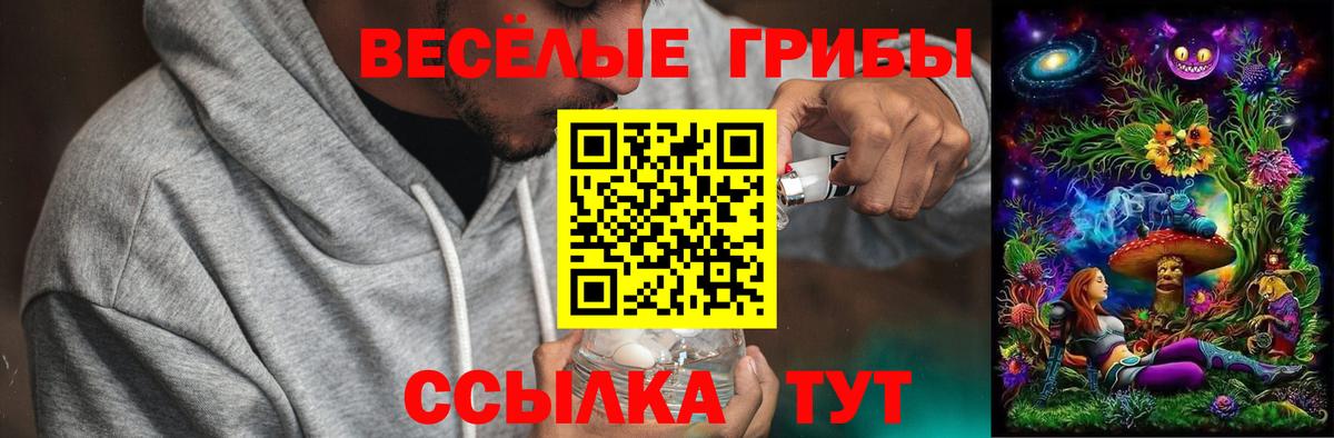 Галлюциногенные грибы GOLDEN TEACHER  Псилоцибиновые грибы ЛСД  Вход с VPN  хочу   Котовск 