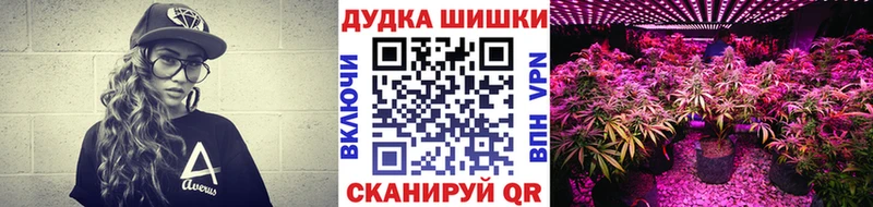 Шишки марихуана семена  Котовск 